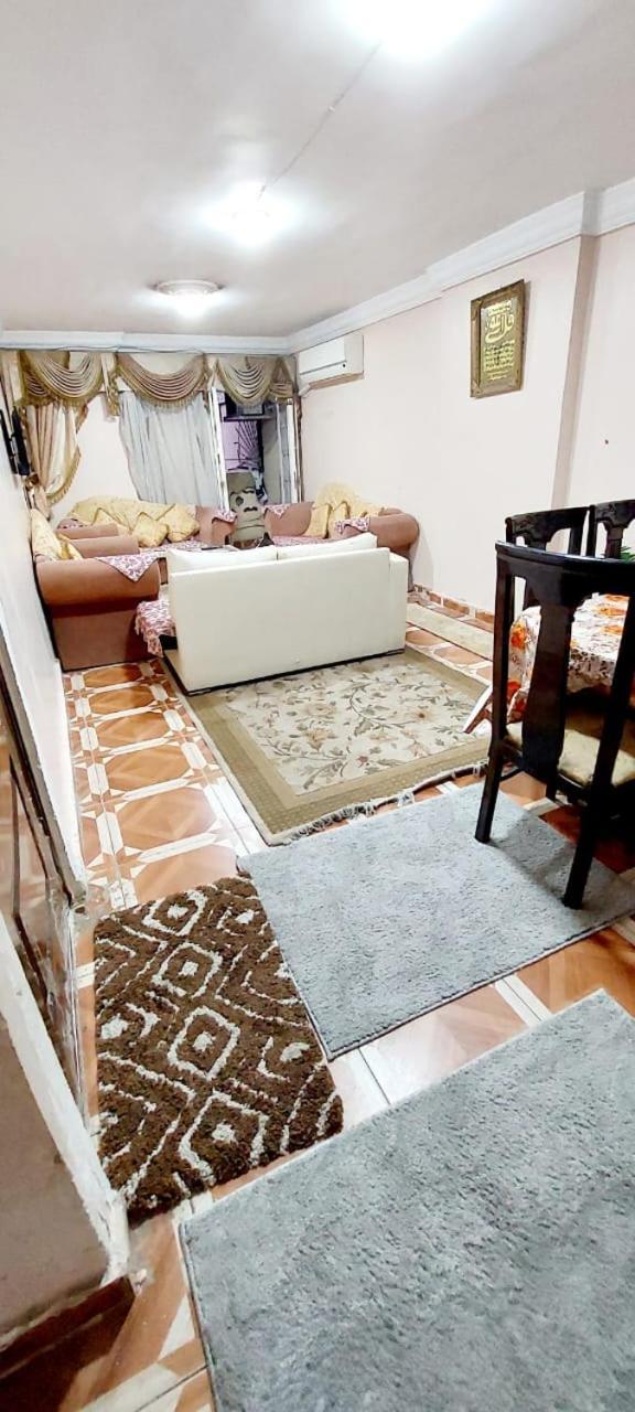 مفروشة لك وحدك قريبة من مكتبة الاسكندرية