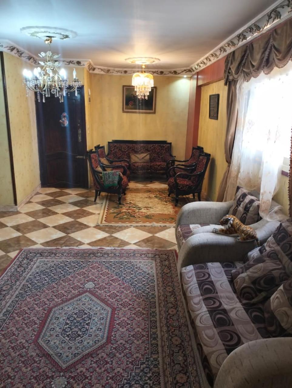 مفروشة لك وحدك قريبة من مكتبة الاسكندرية Apartment