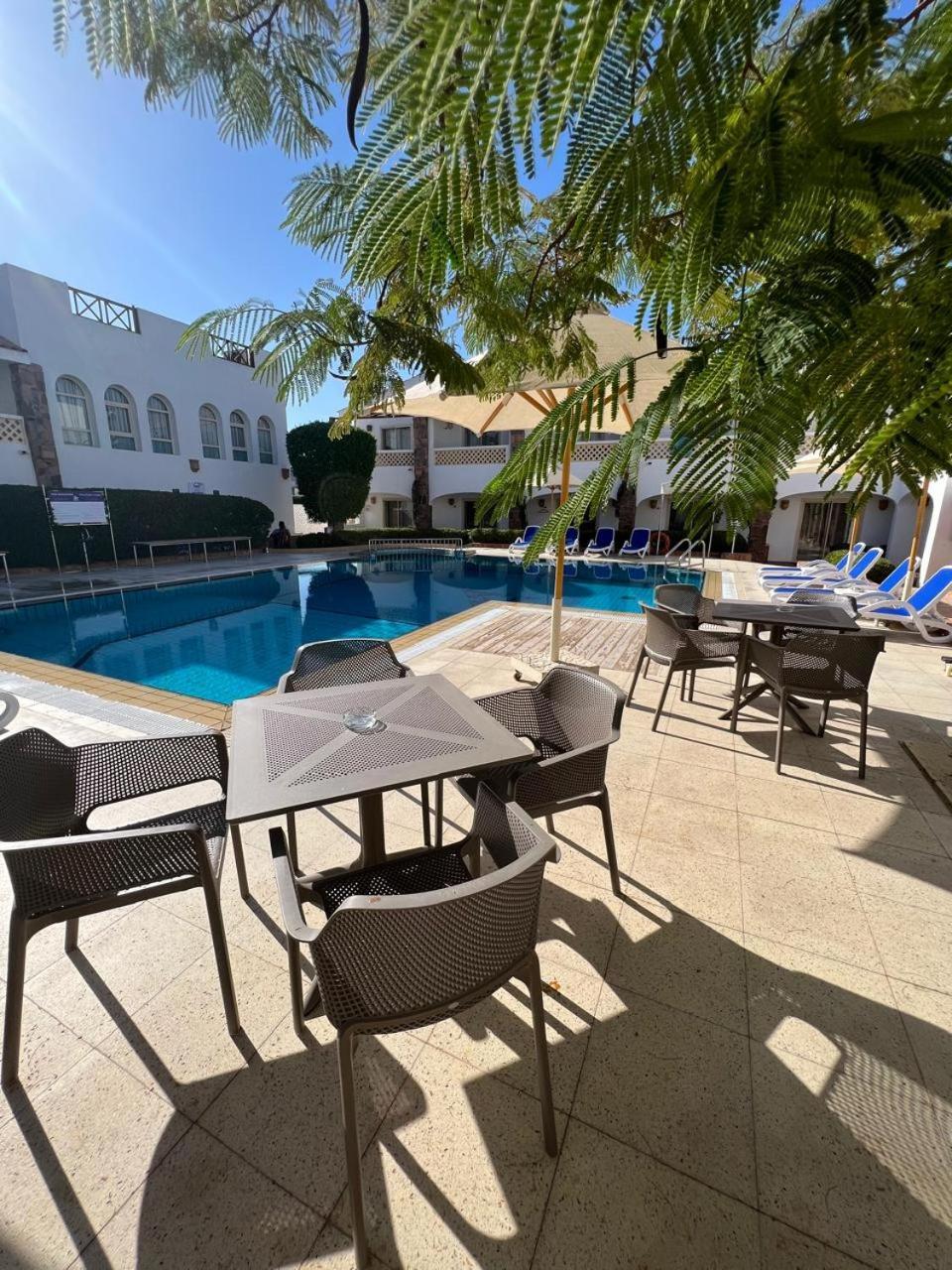 Complex Camel Dive Club & - Boutique 4*