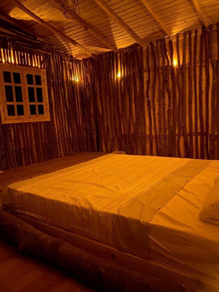 Luxury tent Tosh Nuewba Nuweiba