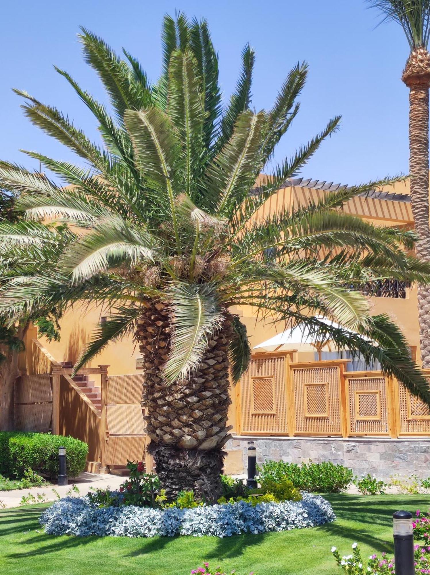 Stella Makadi 5* Apartment Hurghada
