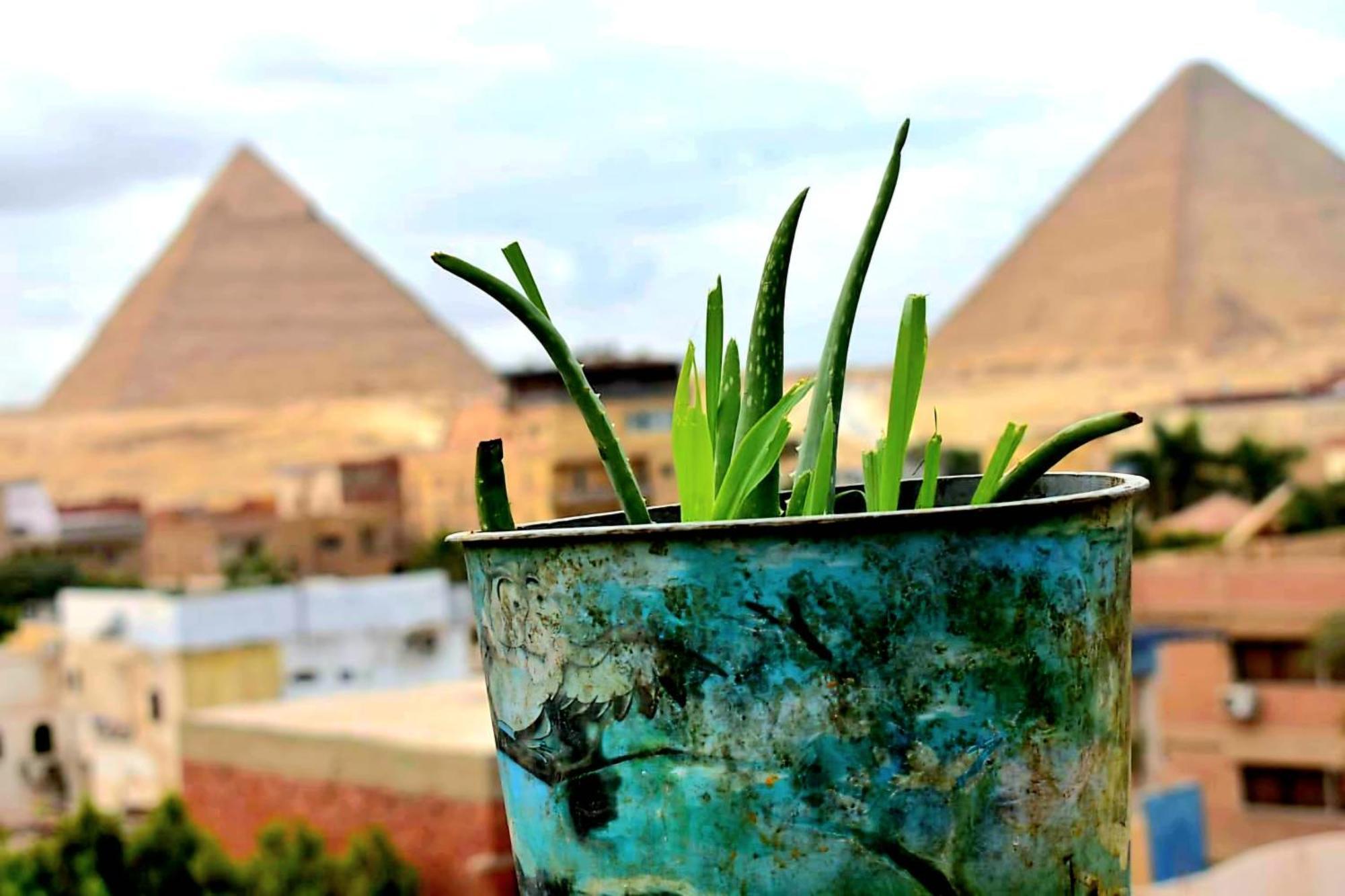 Ammar Pyramids View Homestay *