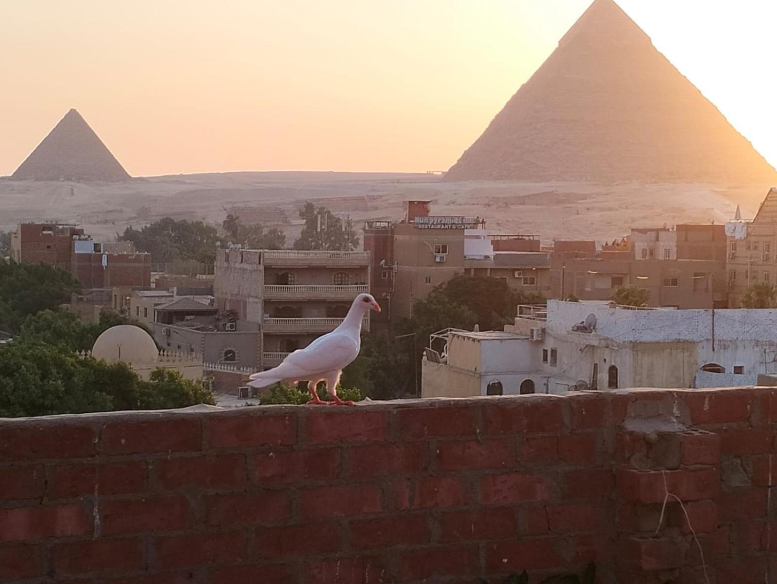 Ammar Pyramids View Privatunterkunft