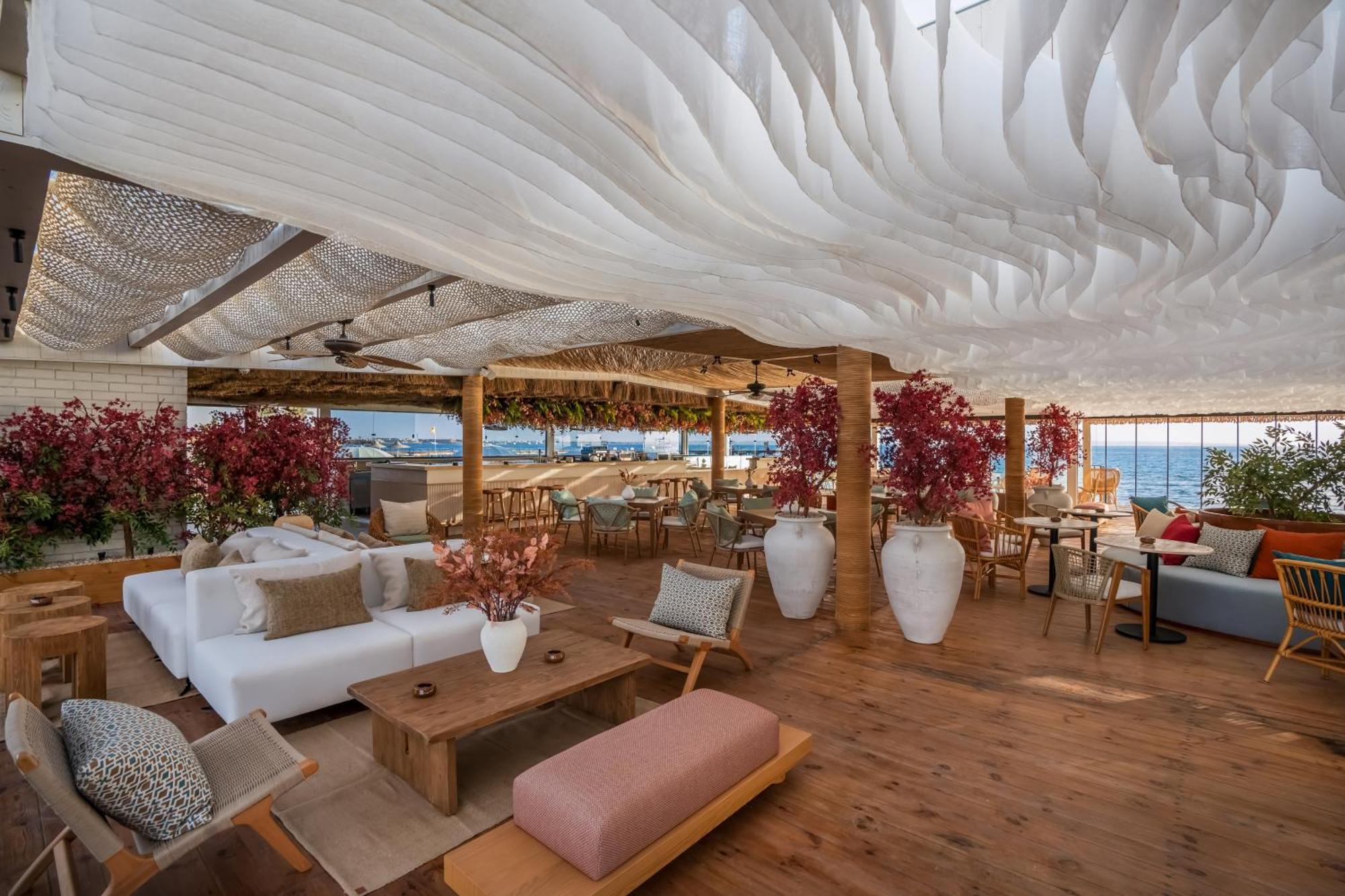Resort Desert Rose