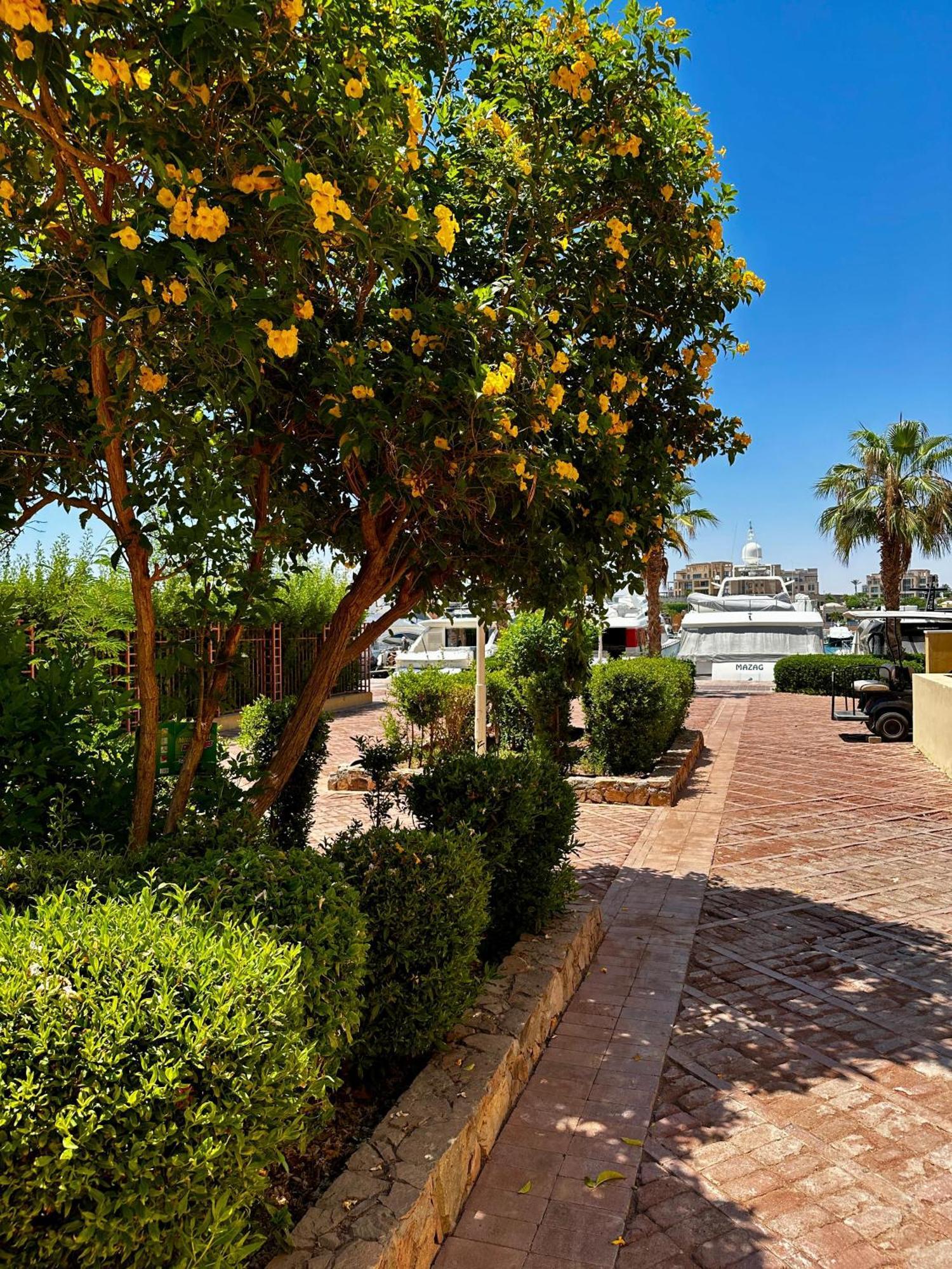 Apartment New Marina Mp 37 *