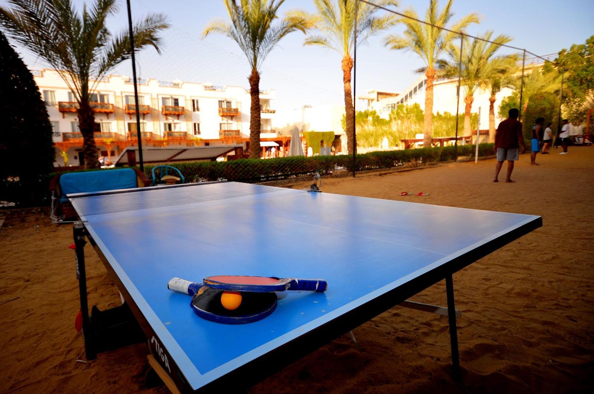 Falcon Naama Star Sharm el-Sheikh