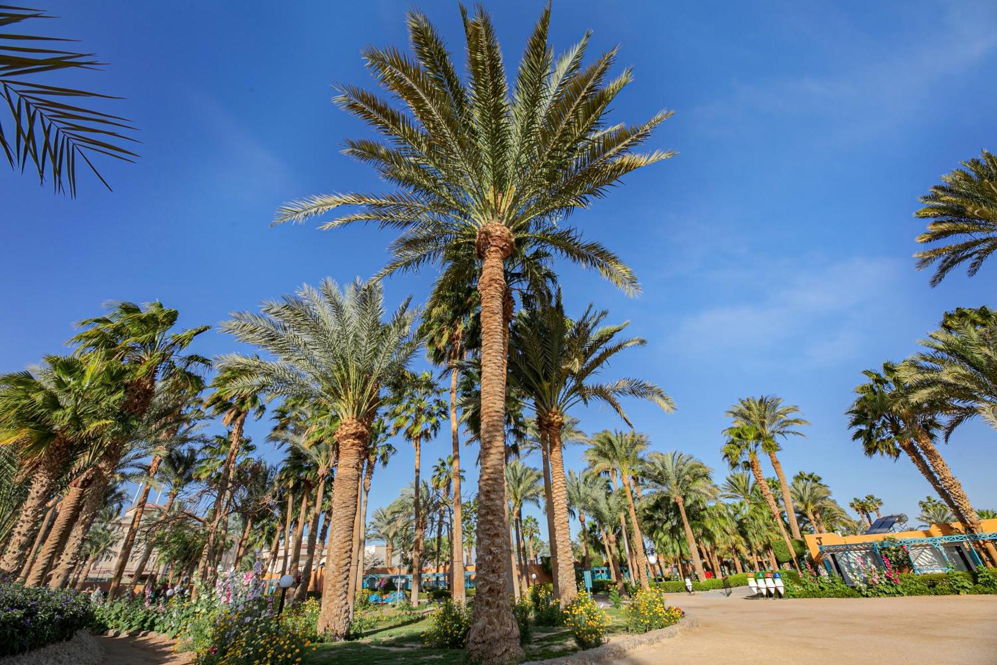 Giftun Azur Hurghada