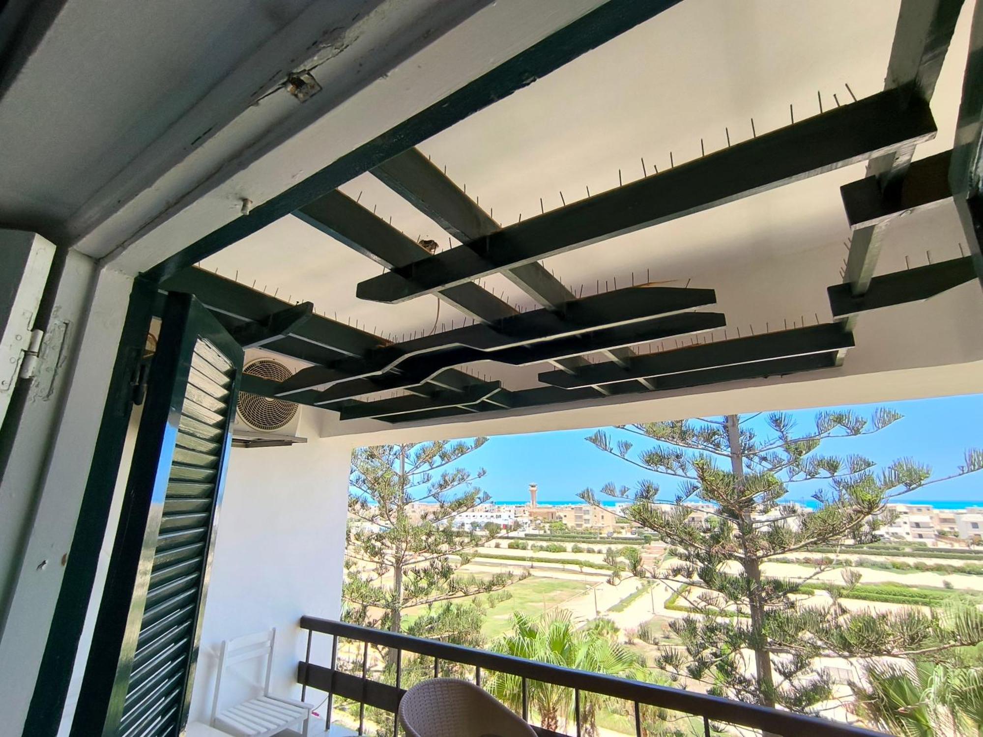 Green Beach Apartment
