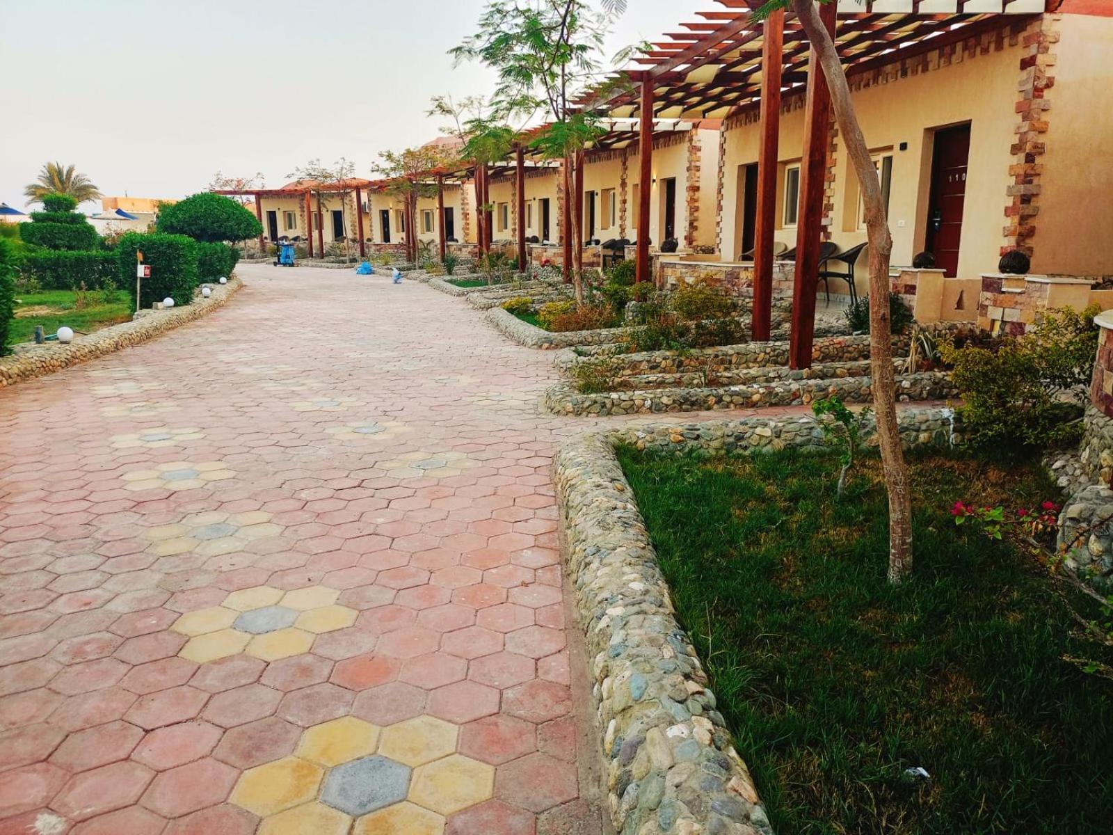 Hotel Dolphin Continental 3*