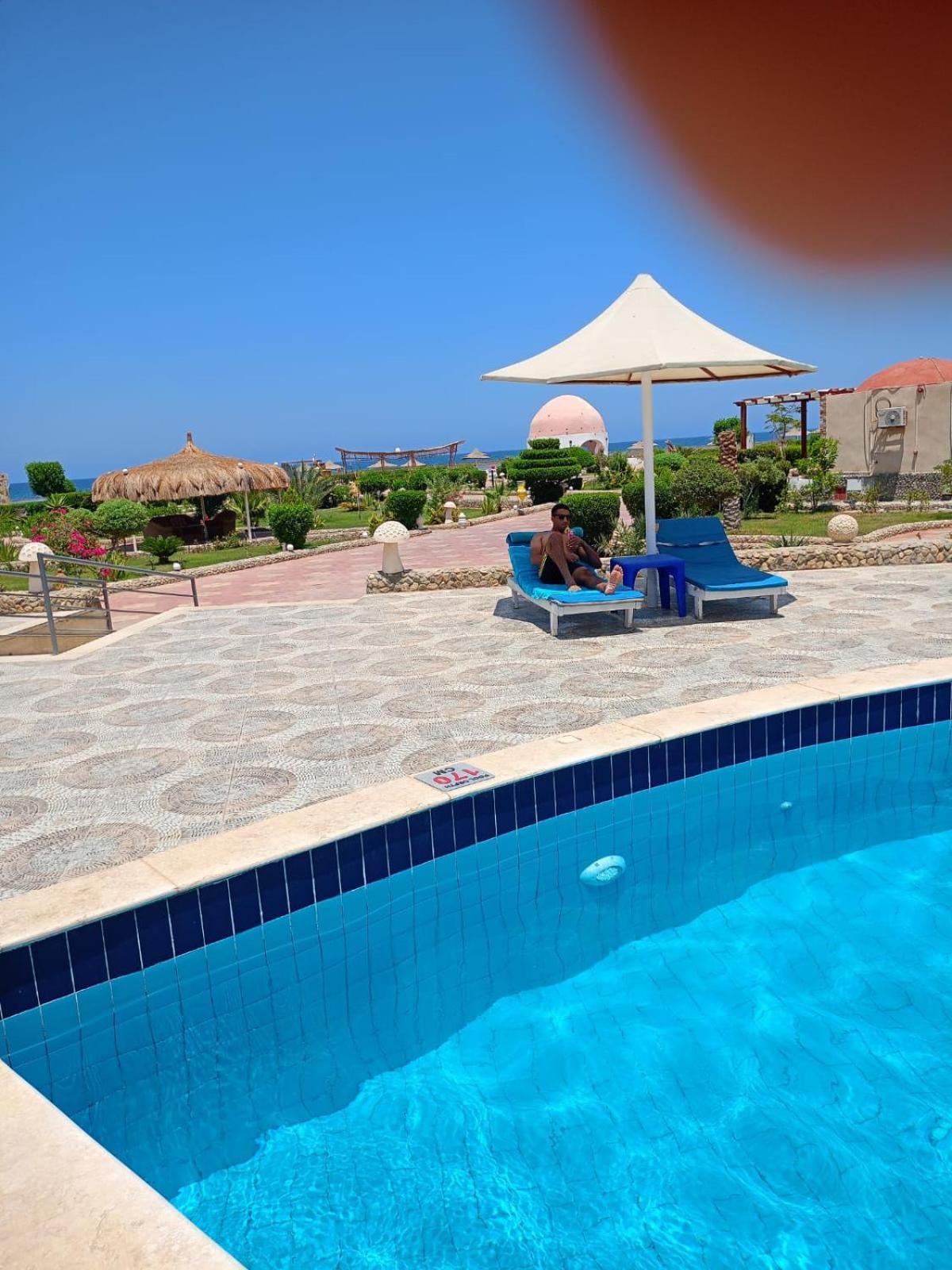 Dolphin Continental