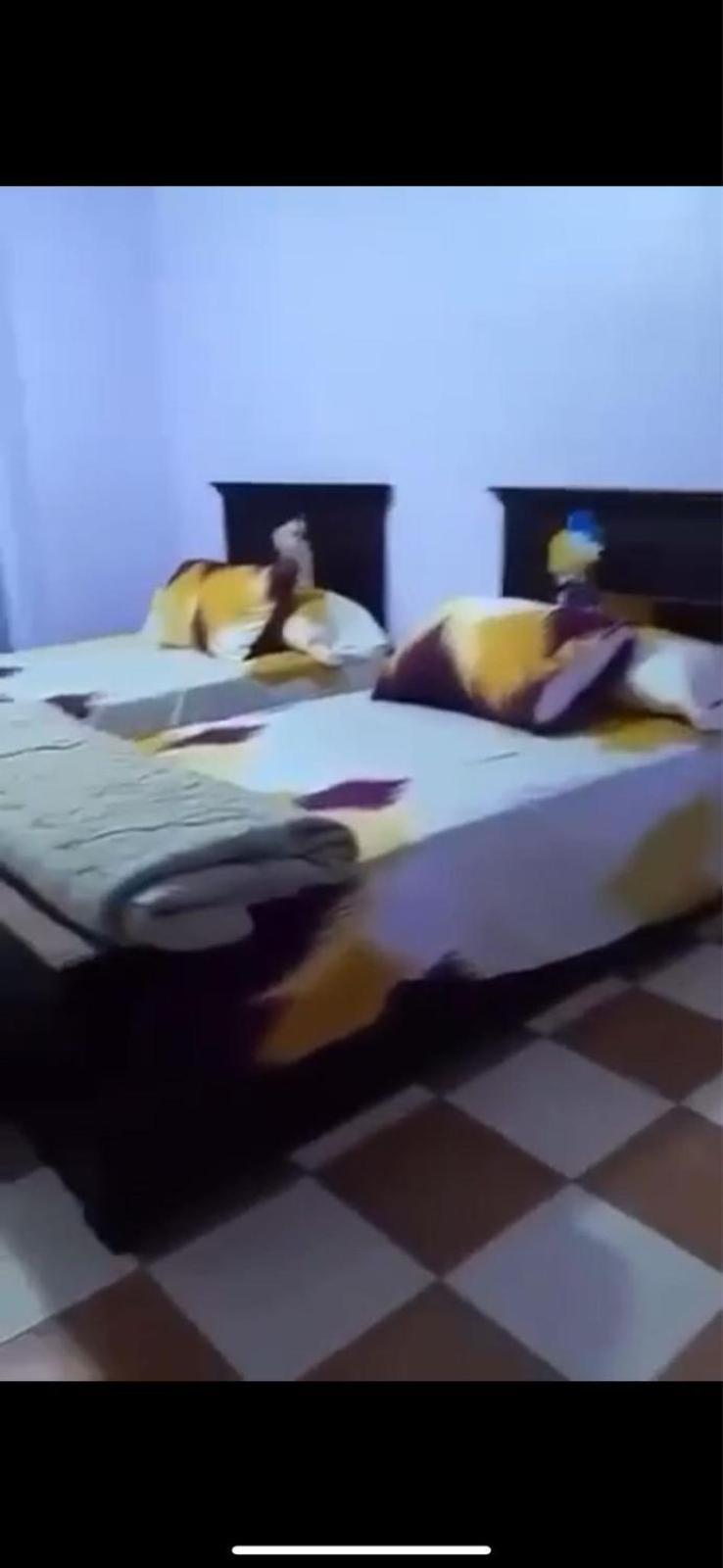 للايجار اليومى فى اميز موقع على كورنيش الاسكندرية فى منطقة سيدى بشر For Daily Rent In An Excellent Location On The Corniche In The Sidi Bishr Area