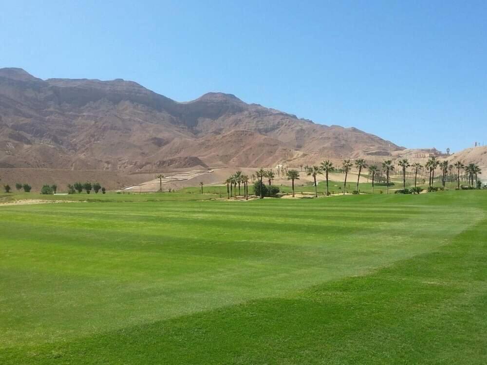 بورتو السخنة ابراج على البحر