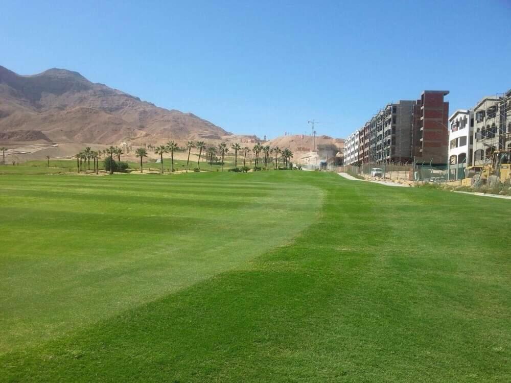 بورتو السخنة ابراج على البحر *
