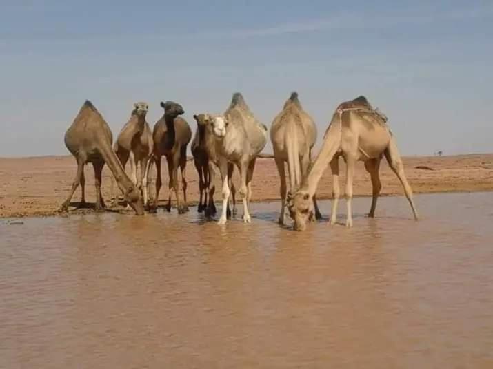 Apadi Camp *