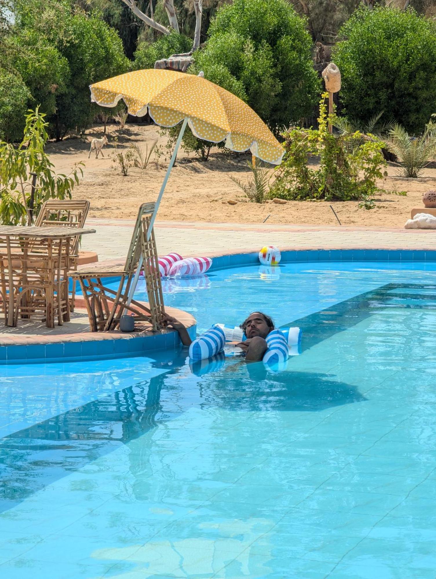 Cafour House Siwa - Hot Spring Camping