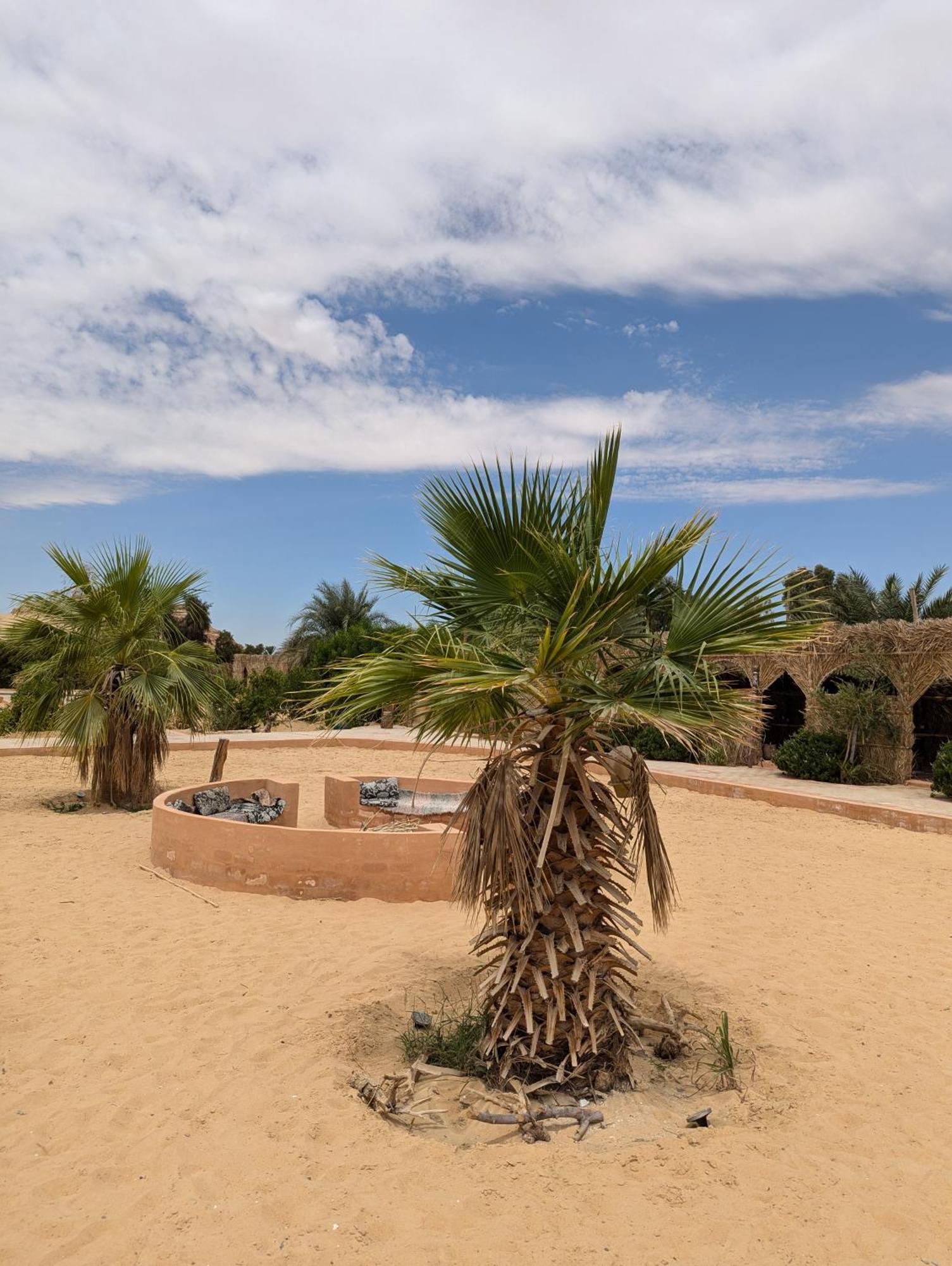 Cafour House Siwa - Hot Spring Siwa Oasis
