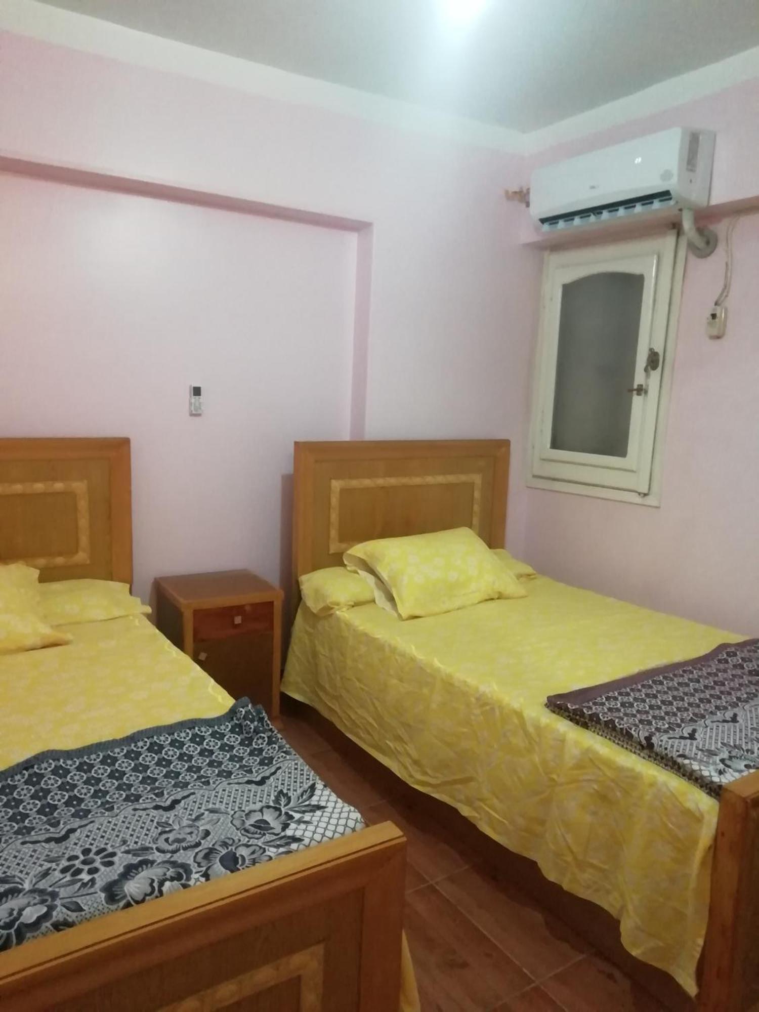 Panda House Alexandria