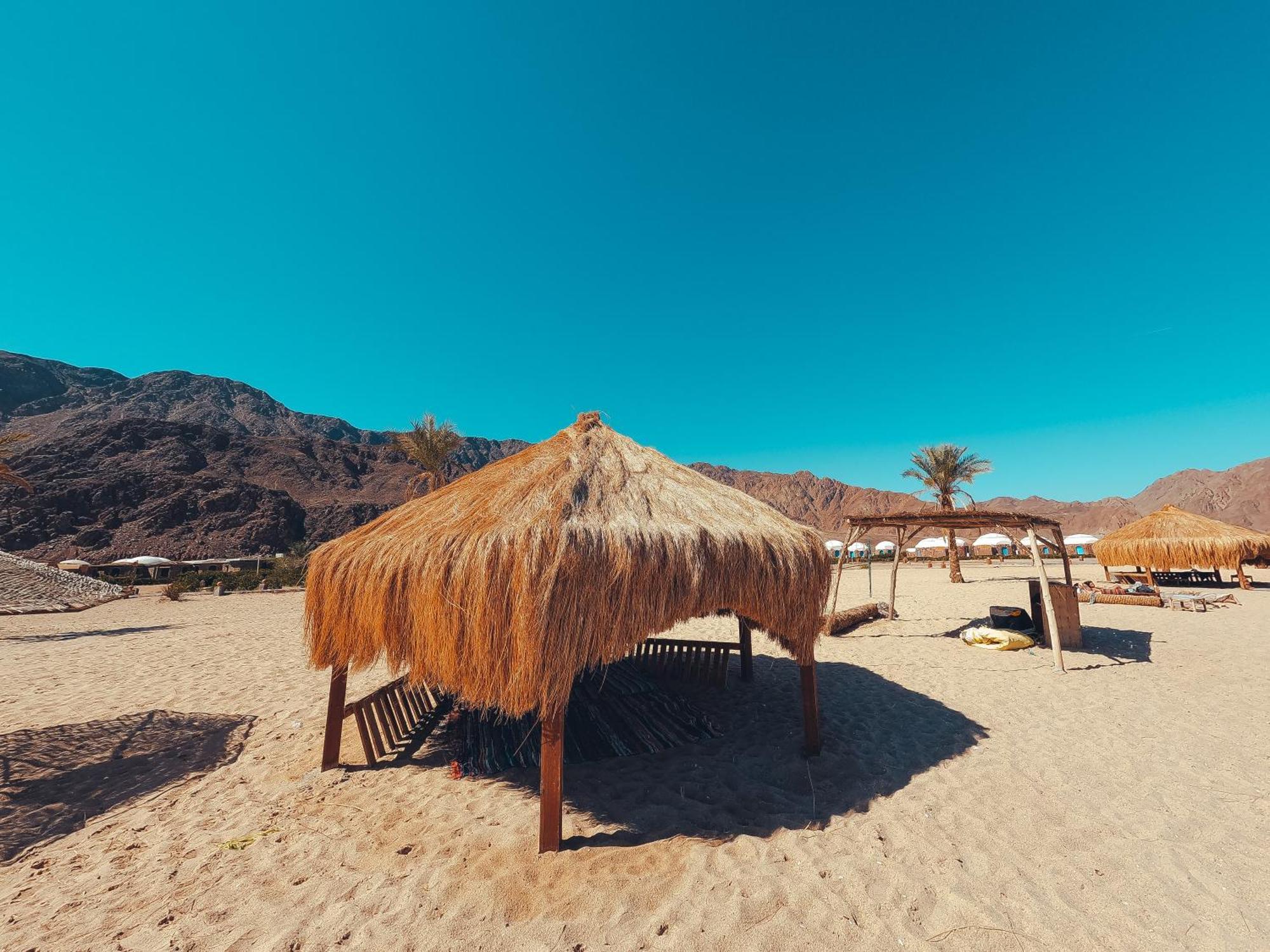 Safari Nuweiba