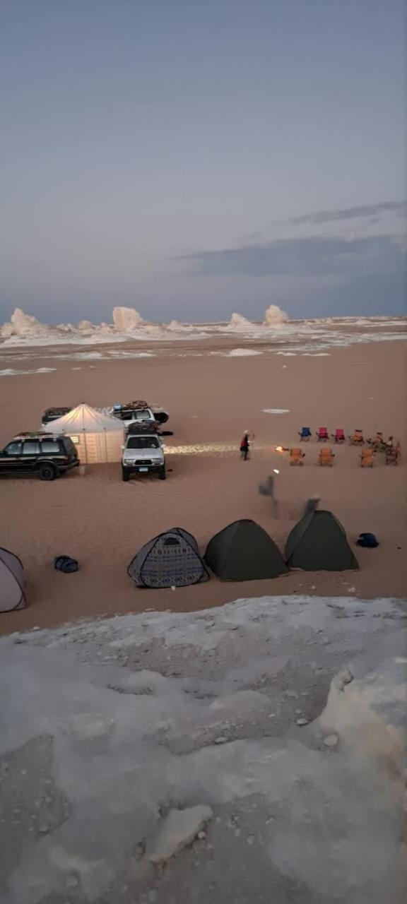 Campsite White Desert Safari Trips In Bahariya Oasis *