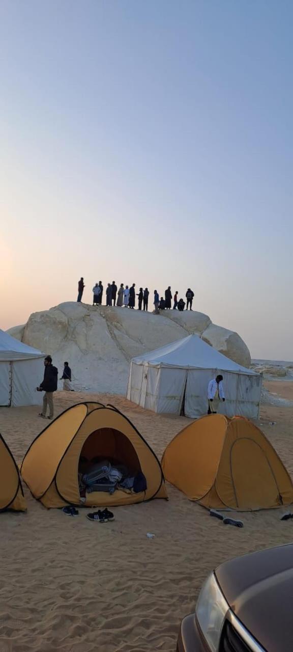 Campsite White Desert Safari Trips In Bahariya Oasis Bawiti
