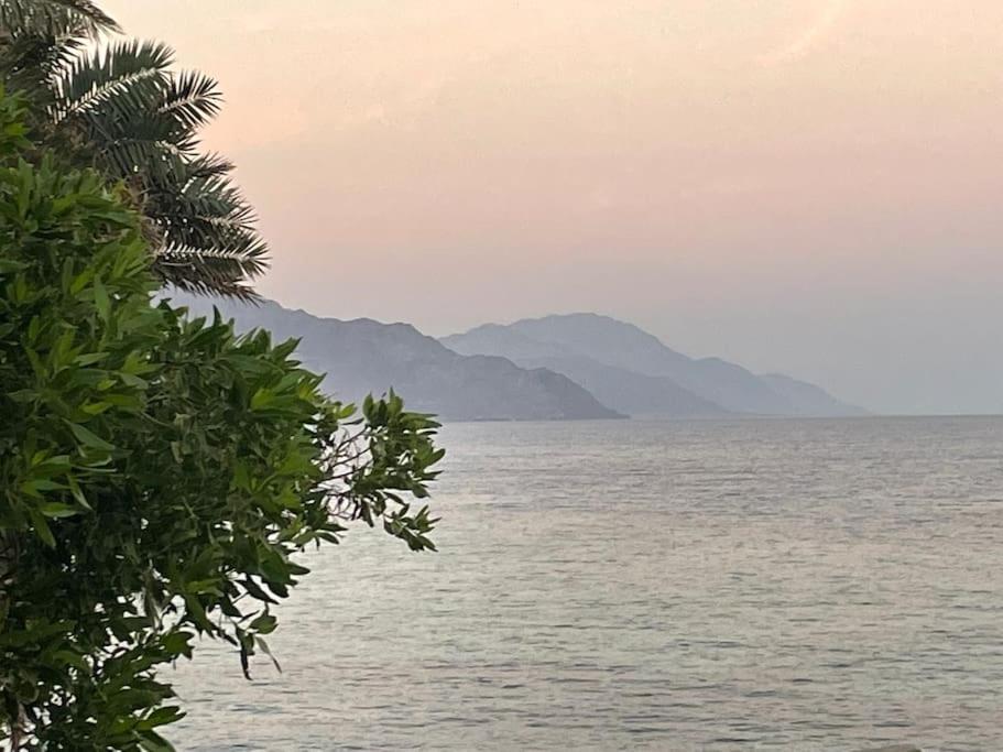 Front With Huge Roof Terrace Apartment Dahab