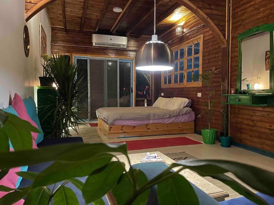 Apartment Front With Huge Roof Terrace