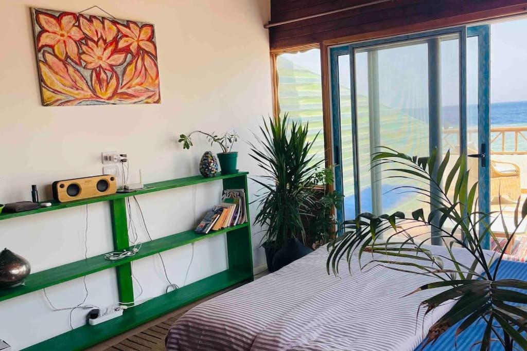 Front With Huge Roof Terrace * Dahab