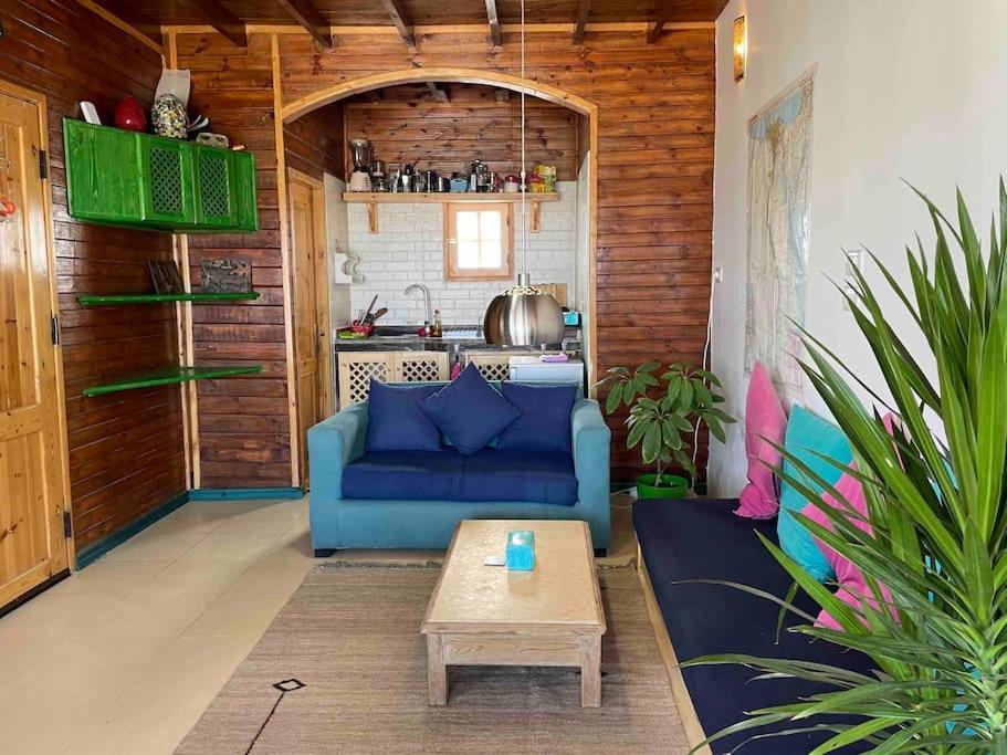 Front With Huge Roof Terrace Apartment