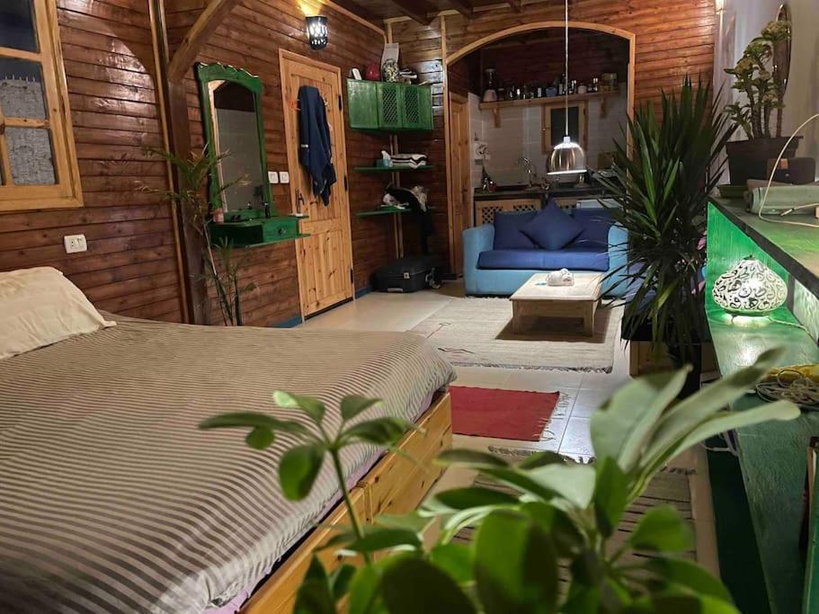 Front With Huge Roof Terrace Apartment *