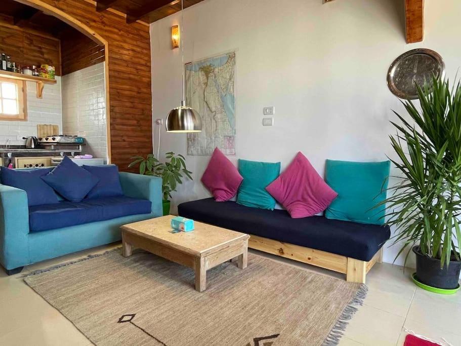 Front With Huge Roof Terrace Apartment Dahab