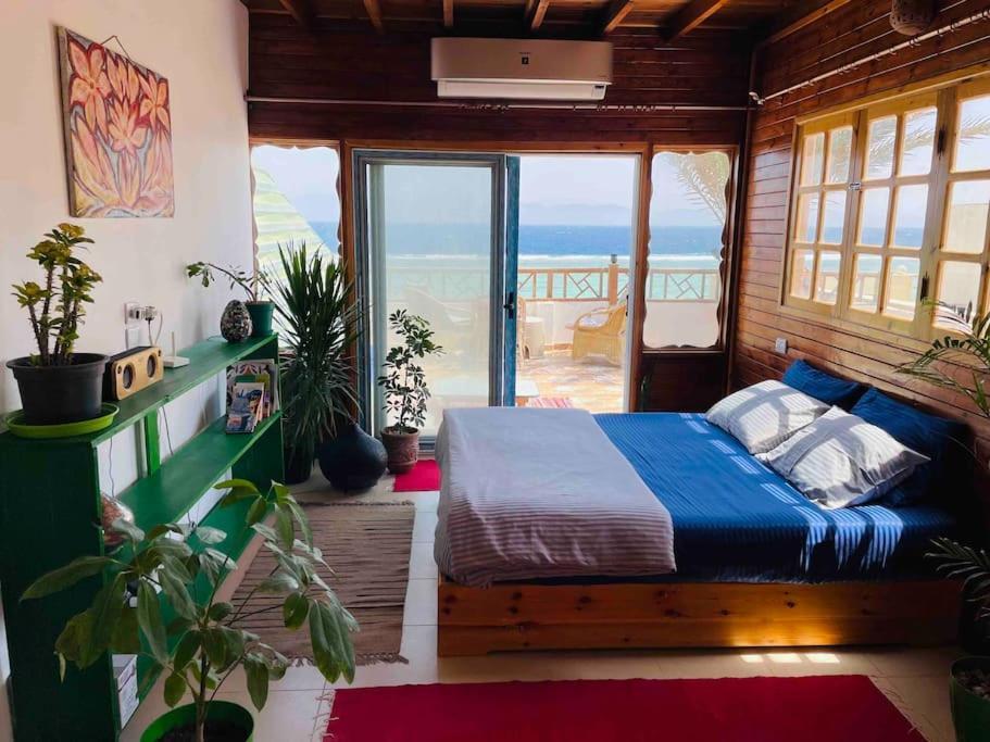 Front With Huge Roof Terrace Apartment