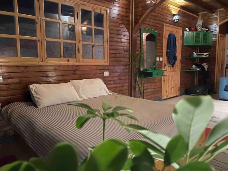 Front With Huge Roof Terrace * Dahab