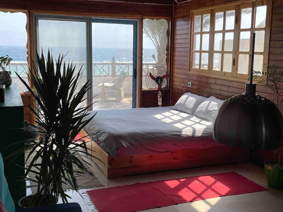Front With Huge Roof Terrace * Dahab