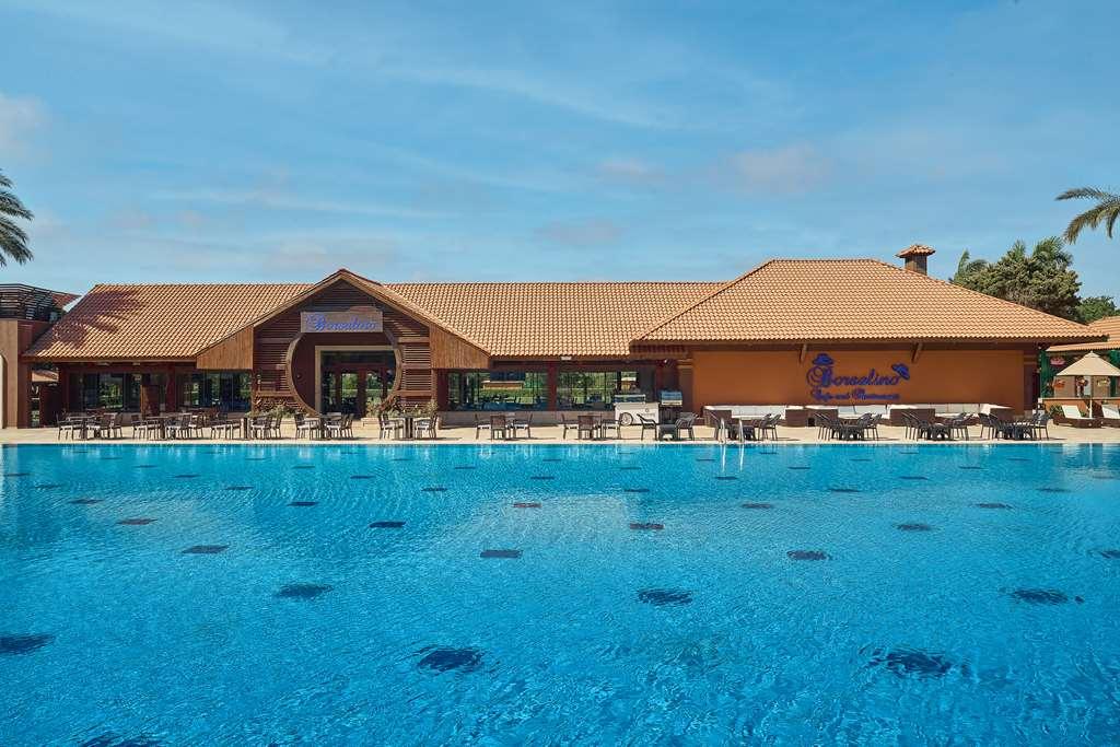 Hilton Alexandria King's Ranch King Mariout