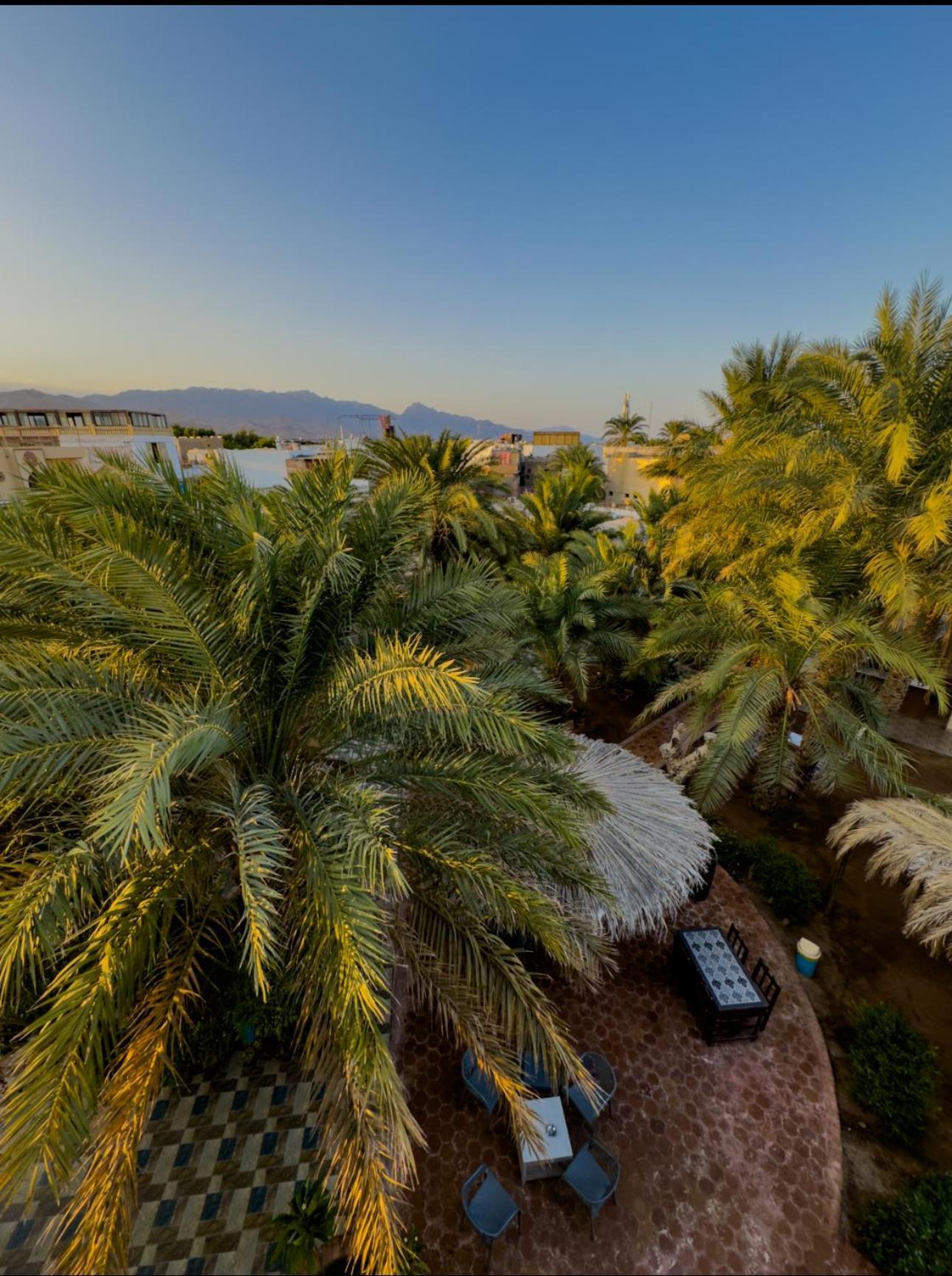 Miramar Camp Hotel Dahab