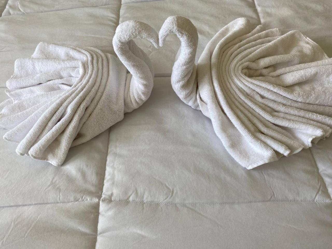 Alex & Hotel