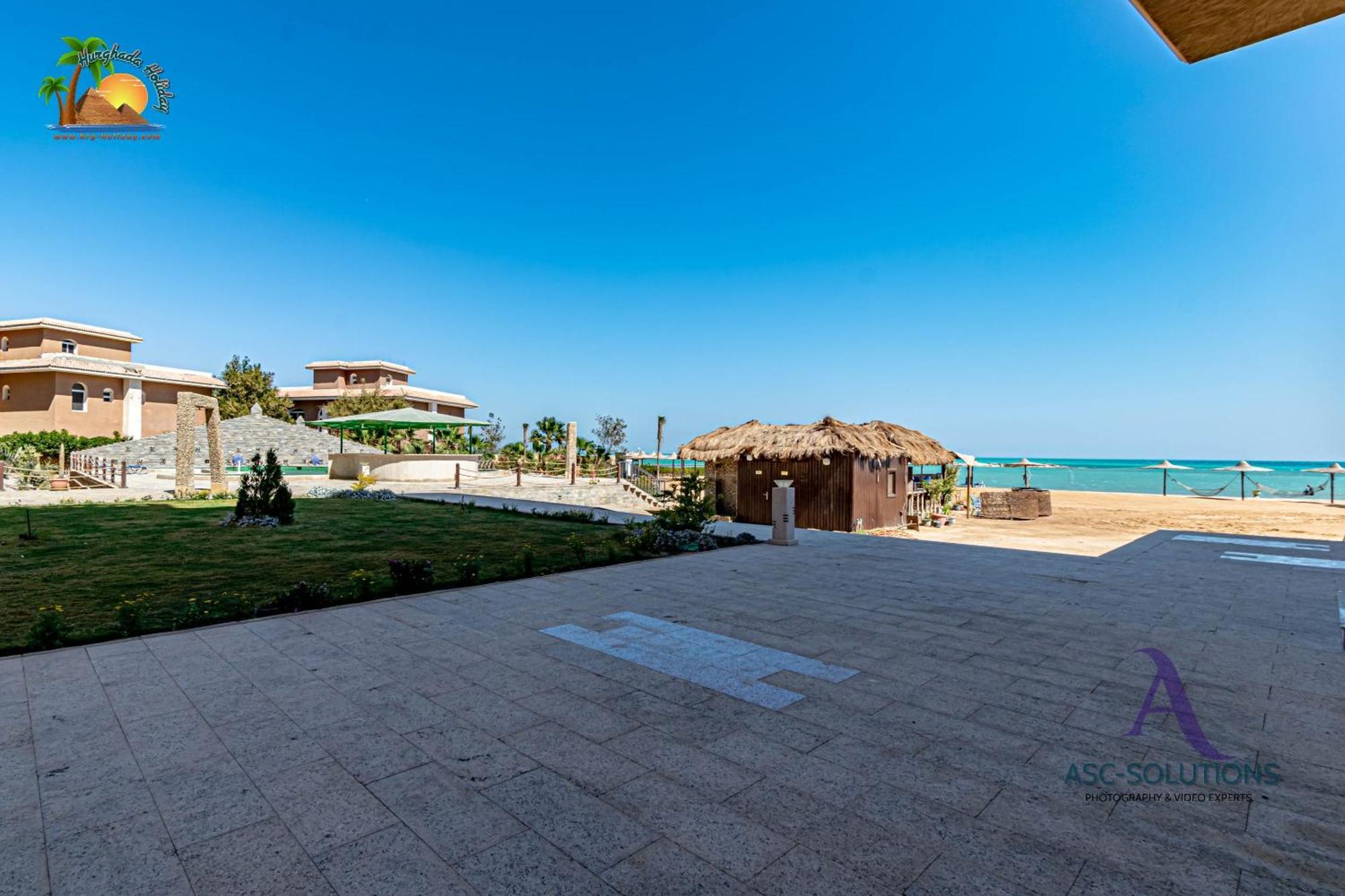 Turtles By Vtgooo * Hurghada