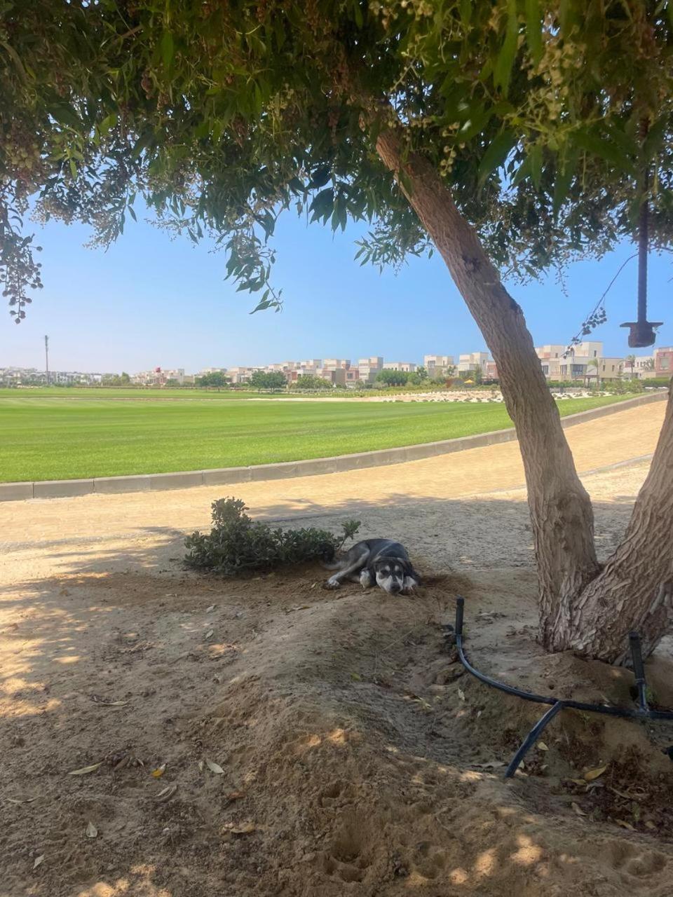 Spacious Standalone At Marassi - Blanca Area, El Alamein, North Coast Villa El Alamein