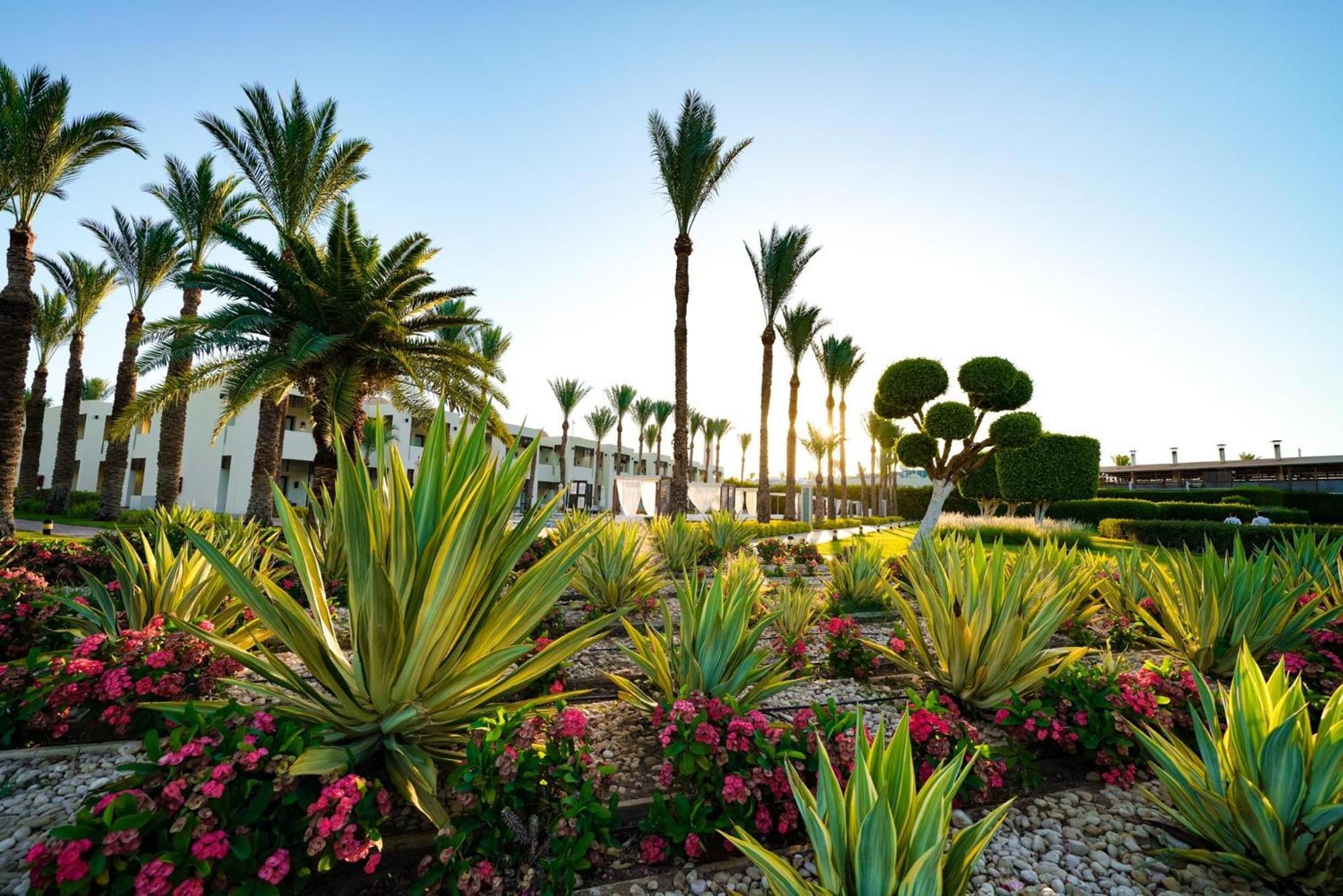 Sentido Reef Oasis Aqua Park 5*