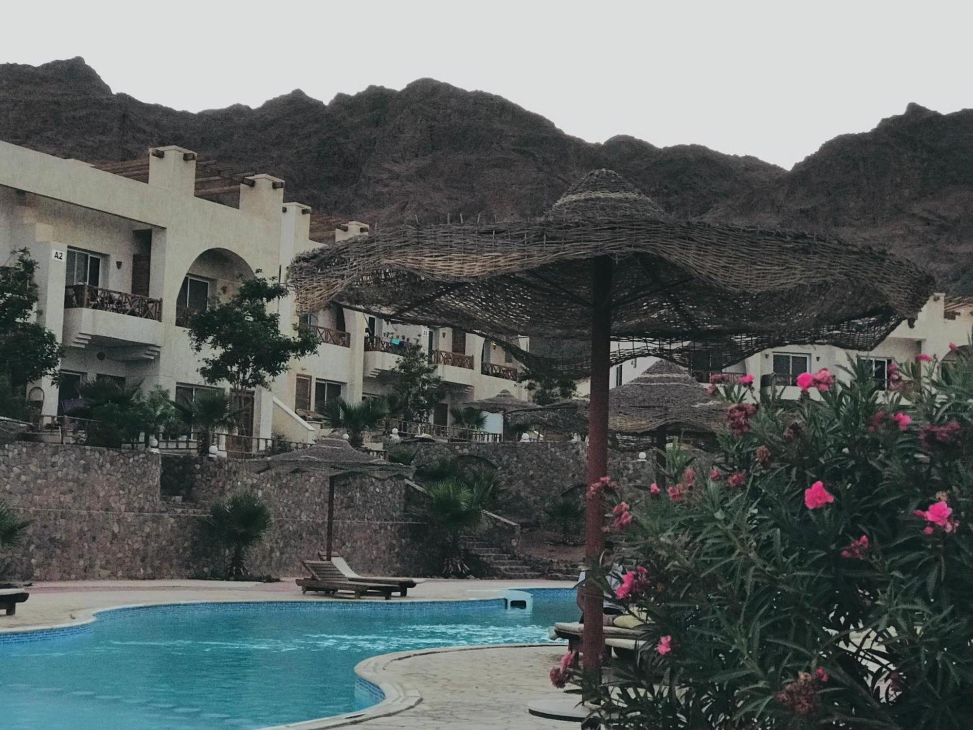 Sea View -sunnydahab Apartment