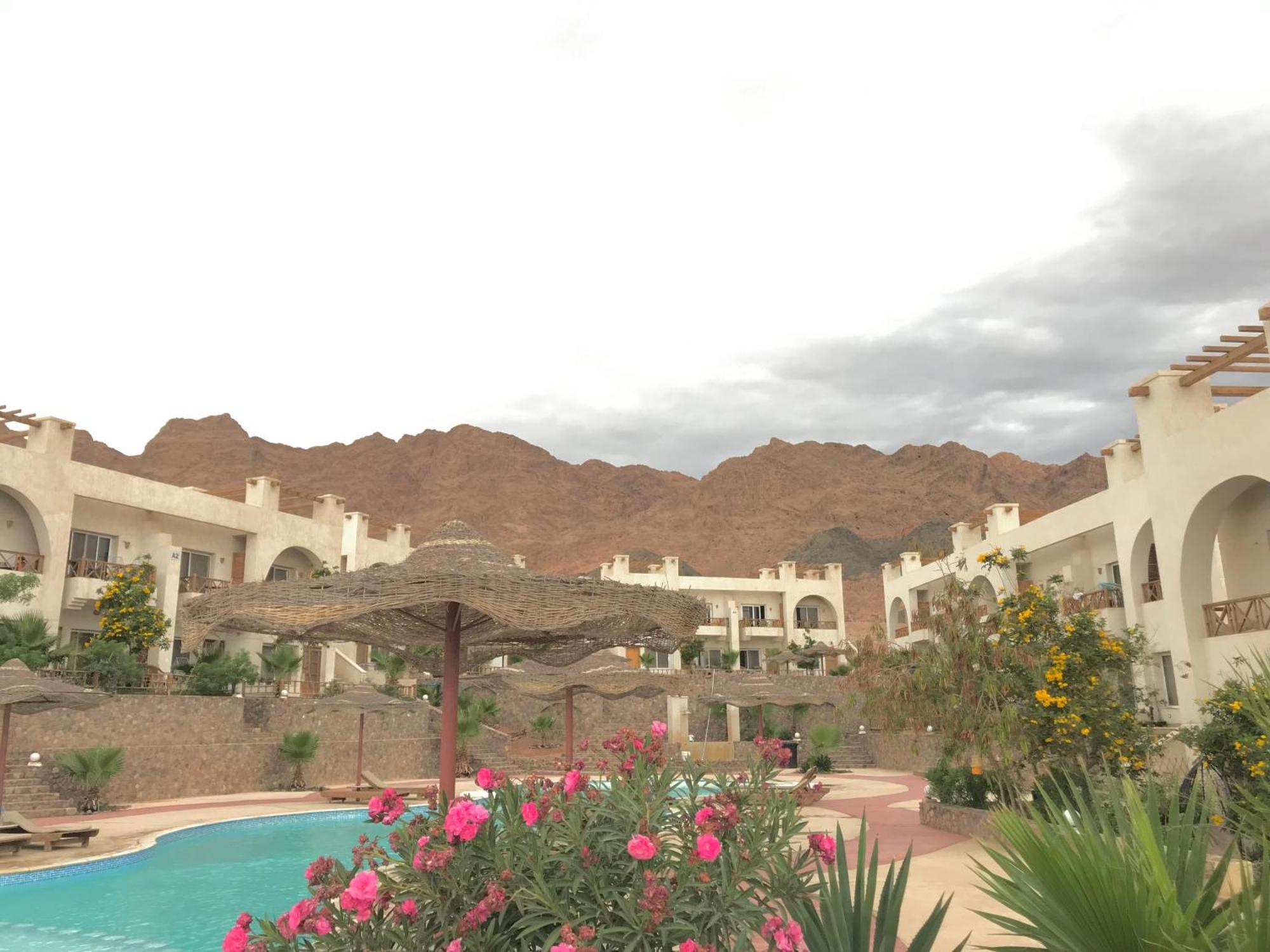 Sea View -sunnydahab Apartment Dahab