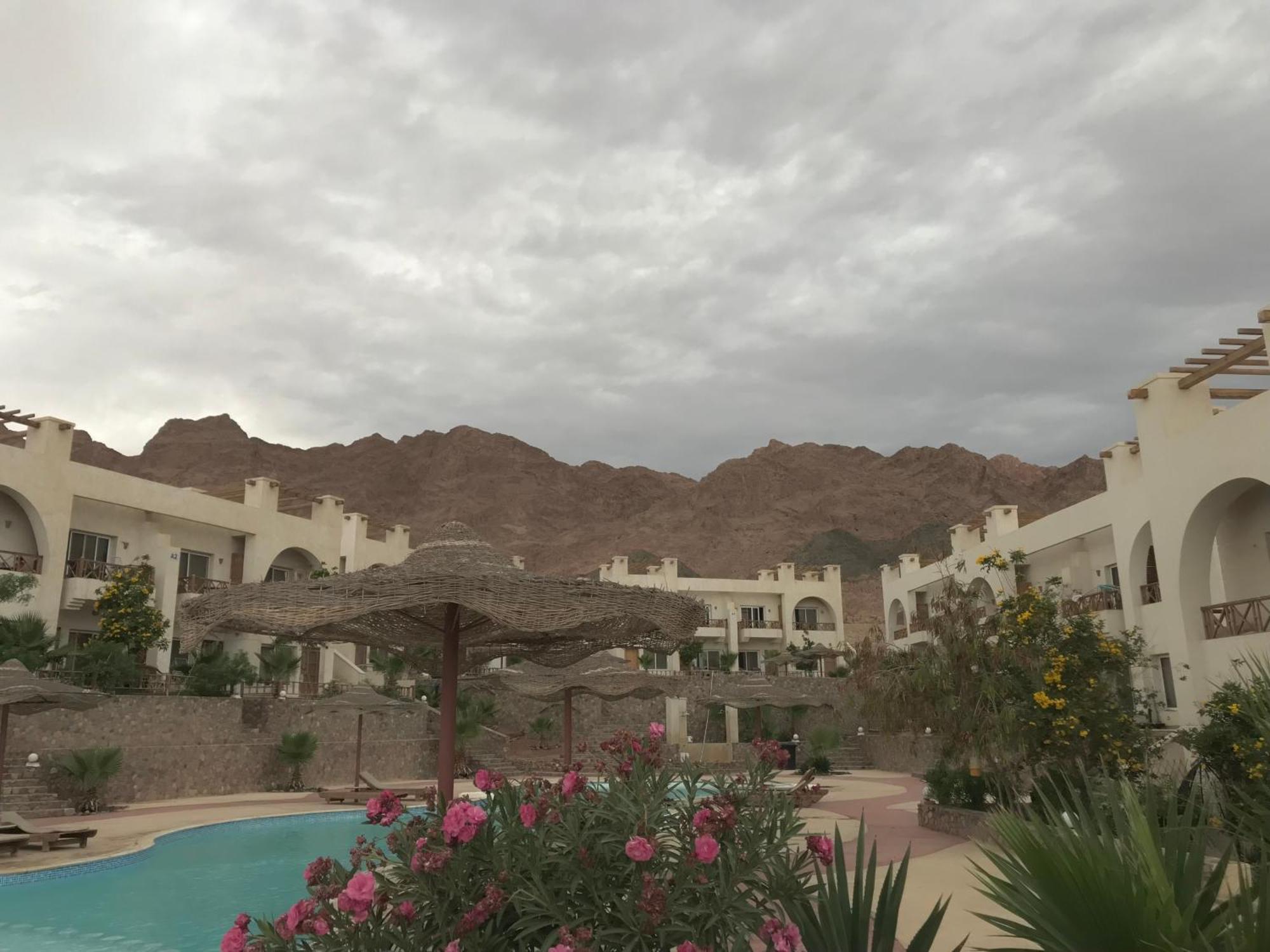 Sea View -sunnydahab Apartment