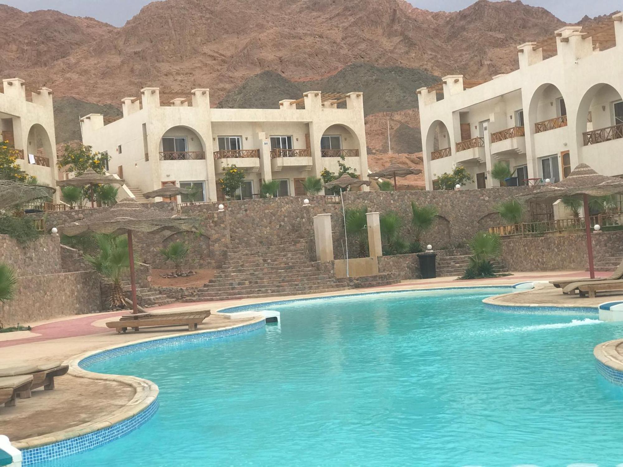 Sea View -sunnydahab