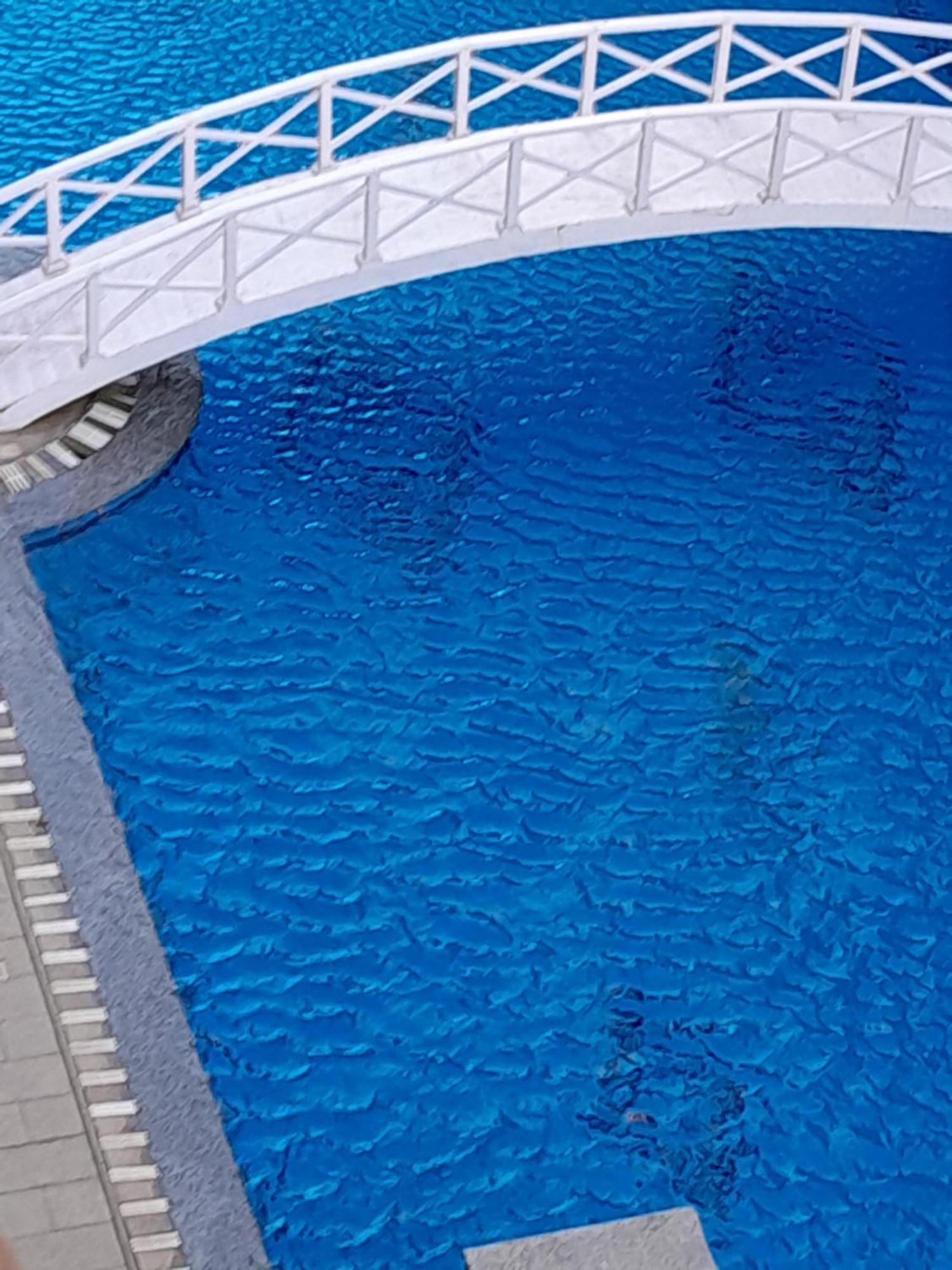 Turtles Hourghada View Sea View Pool Private Jacuzzi Security Air-conditioned Cafe Restaurant On The And A Large Sunny Balcony Aparthotel *