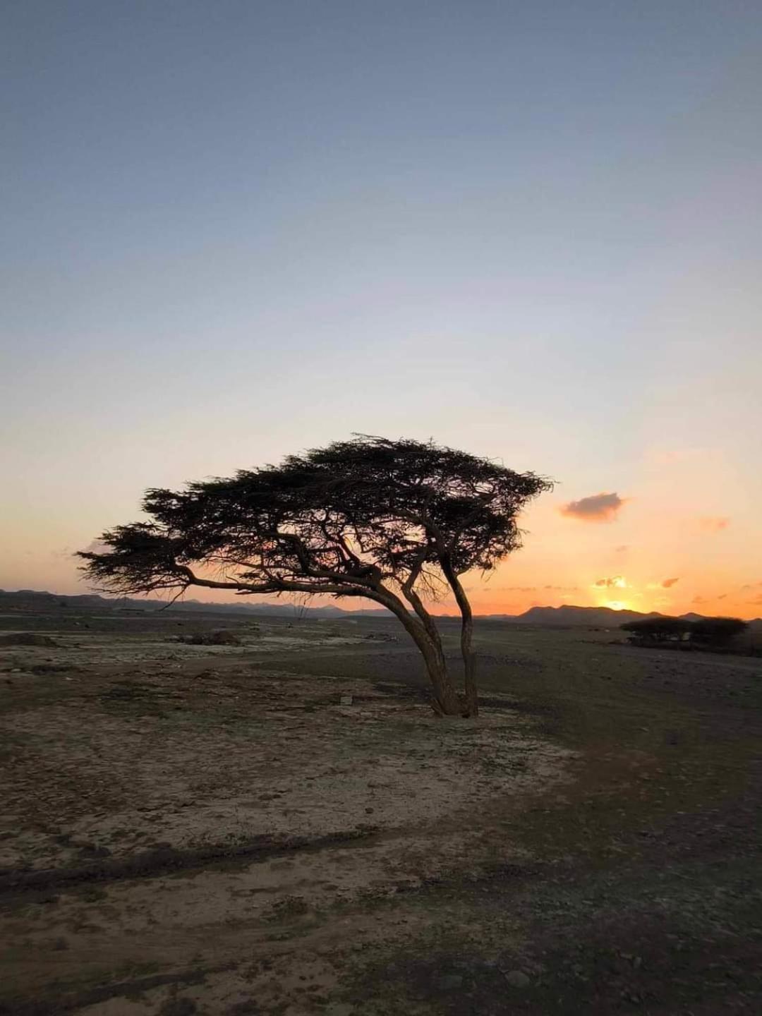 Apadi Camp Tenda de luxo Port Ghalib