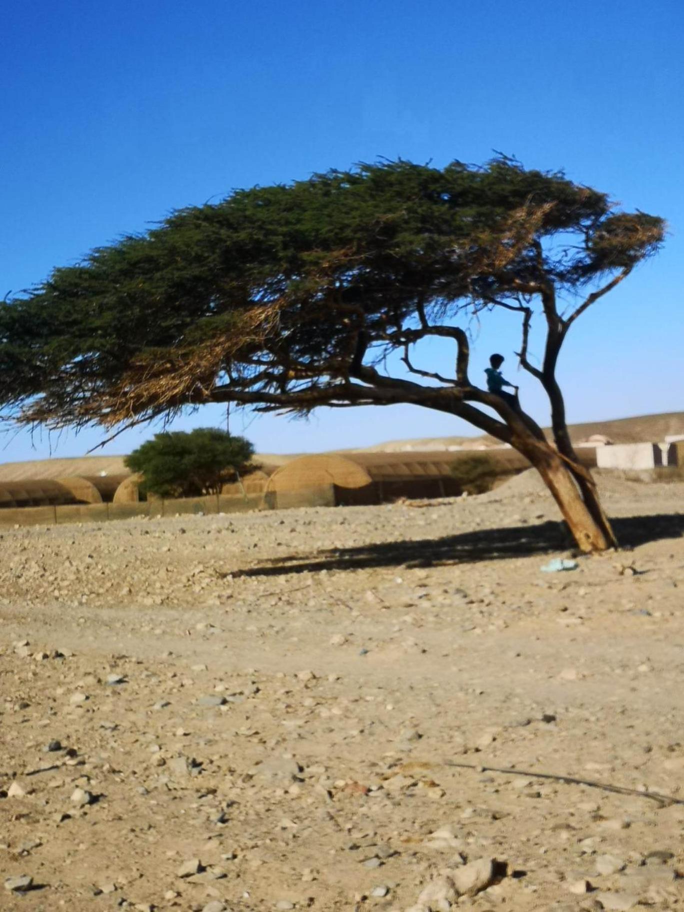 Apadi Camp Tenda de luxo Port Ghalib