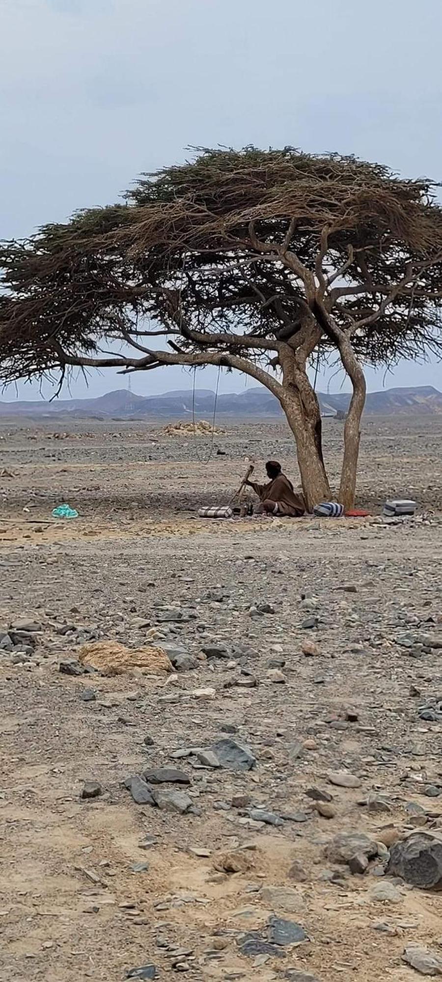 Apadi Camp