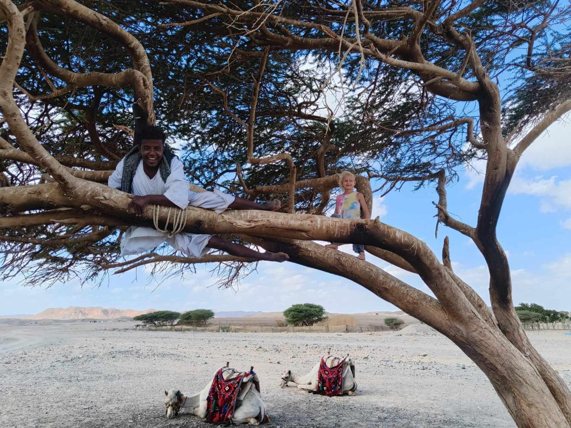 Apadi Camp * Port Ghalib