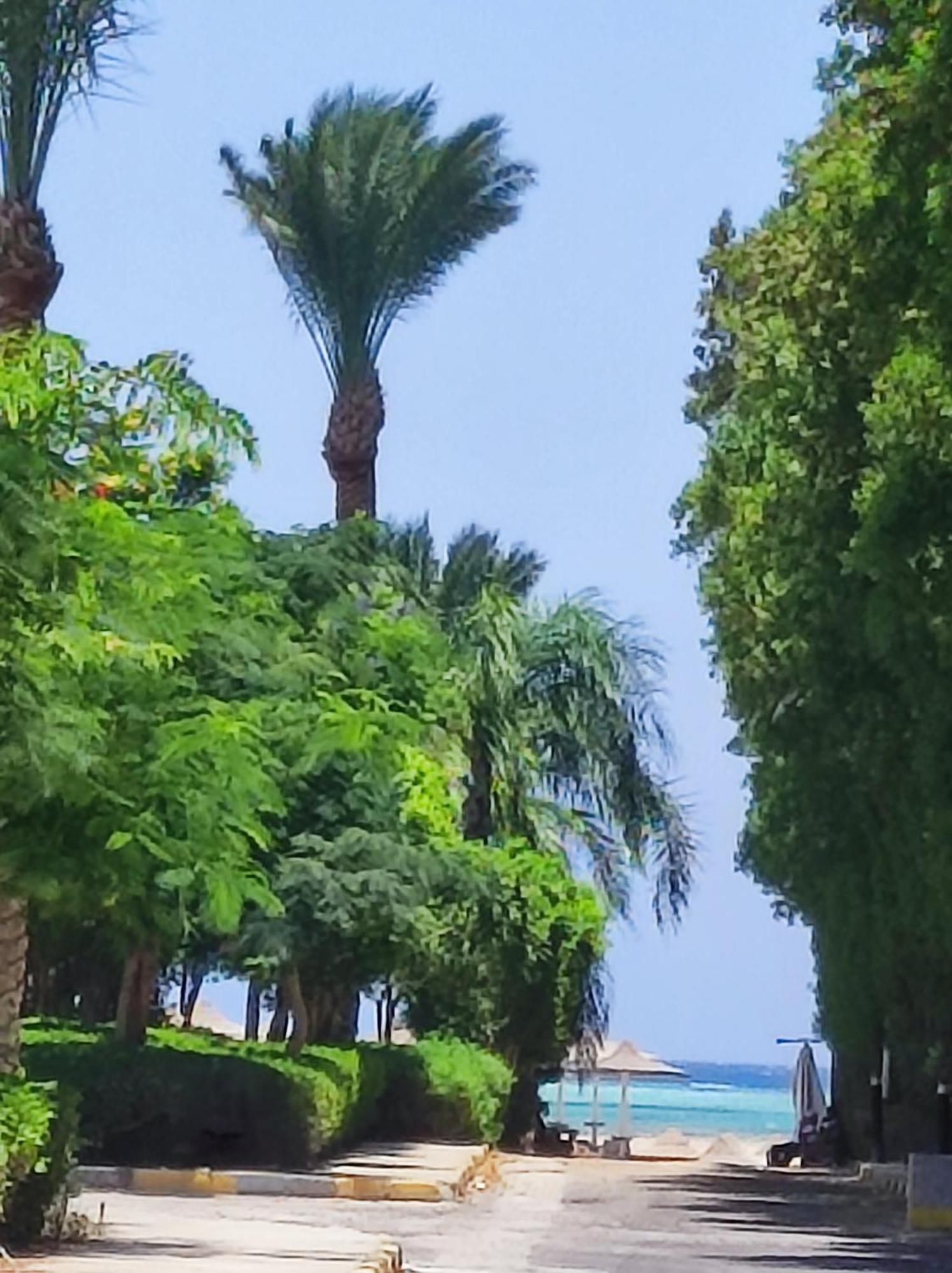 Stella Makadi 5* * Hurghada