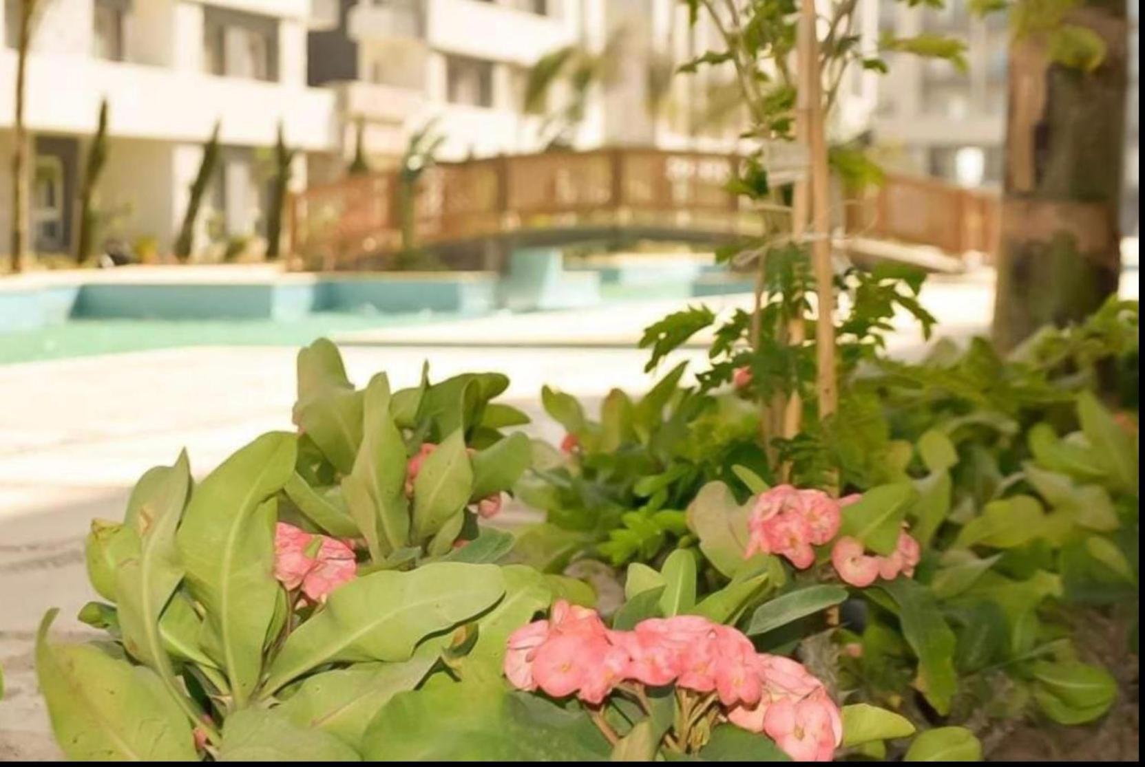 Apartment Fanadir Bay Hurghada
